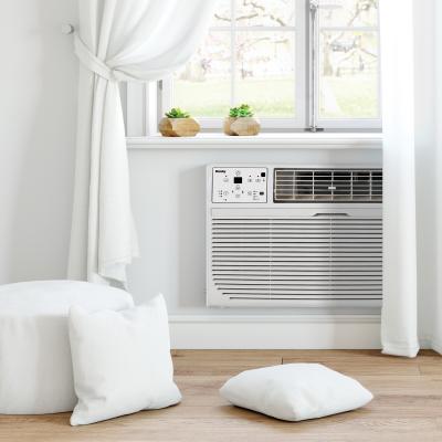 Danby 12000 BTU Through-the-Wall Air Conditioner - DTAC120B1WDB