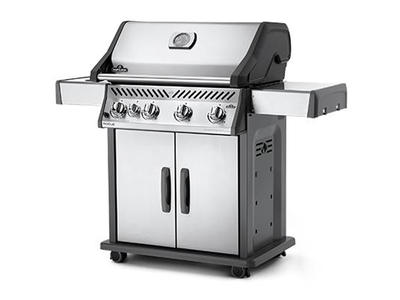 Napoleon Freestanding Natural Gas Grill with Standard Burners R525SBNSS