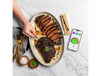 Traeger MEATER Plus Smart Thermometer in Honey - MEATER PLUS
