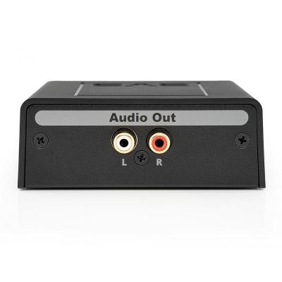 SVSound SoundPath Speaker Level Subwoofer Adapter - SVS-SPSLSA