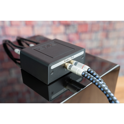 SVSound SoundPath Speaker Level Subwoofer Adapter - SVS-SPSLSA