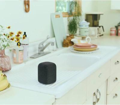 Sony LinkBuds Portable Wireless Speaker in Black - SRSLS1/B