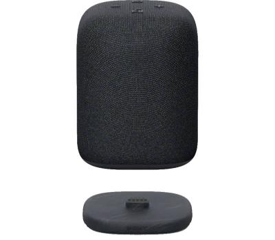 Sony LinkBuds Portable Wireless Speaker in Black - SRSLS1/B