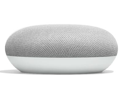 Google Smart Speaker With Built in Google Assistant In Chalk - Home Mini (Chalk)