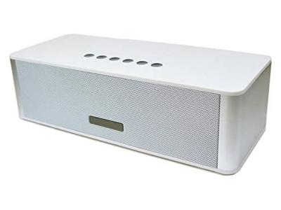 Escape Platinum Bluetooth Speaker With FM Radio In White - SPBT939