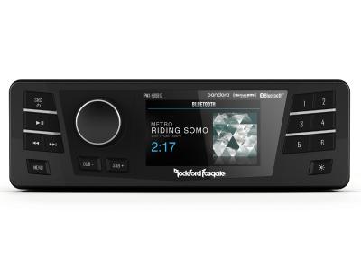 Rockford Fosgate Digital Media Receiver With Bluetooth - PMX-HD9813