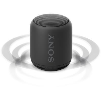 Sony Xb10 Extra Bass Portable Bluetooth® Speaker - SRSXB10