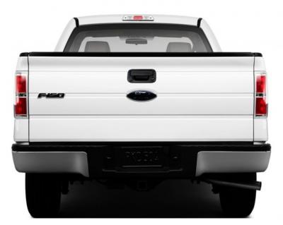 Rydeen FORD F-150 Tailgate Handle Cameras - FDHF1B