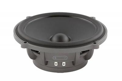 Audiofrog 6 Inch Premium Grade Automotive Midrange Loudspeaker - GS60