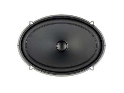 Audiofrog 6 X 9 Inch Premium Grade Automotive Woofer/Midrange Loudspeaker - GS690