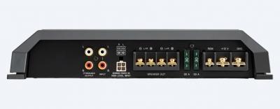 Sony Class D Monaural Power Amplifier - XMGS100