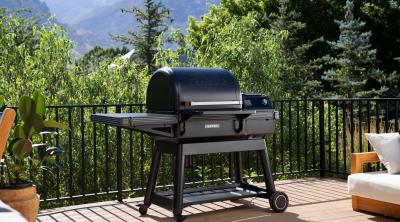 Traeger IronWood Pellet Grill with Bottom Shelf - TFB61RLGC