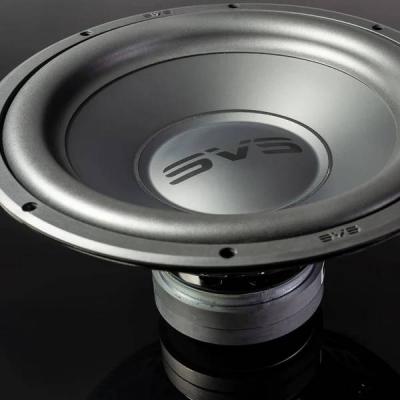 SVSound 325 Watts SB 1000 Pro Subwoofer - SVS-SB-1000PROBLKGLS