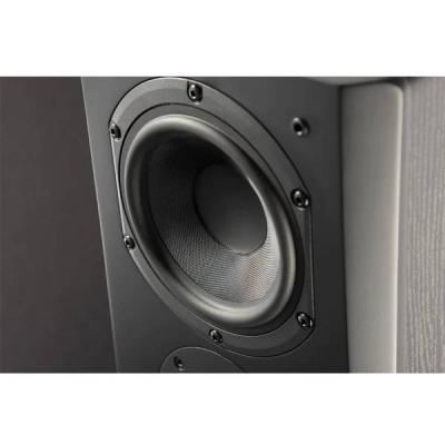 SVSound Prime Series Pinnacle Floor Standing Tower Loudspeaker - SVS-PRIMEPINNACLEBLKASH