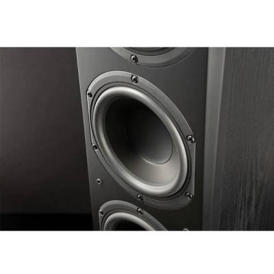 SVSound Prime Series Pinnacle Floor Standing Tower Loudspeaker - SVS-PRIMEPINNACLEBLKASH