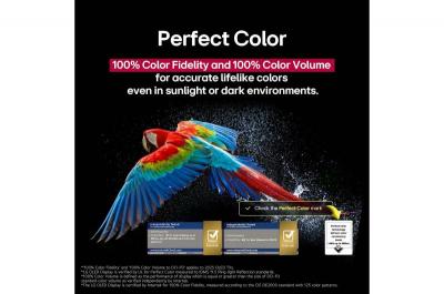 55" LG OLED55B5PUA OLED evo AI B5 4K Smart TV 2025