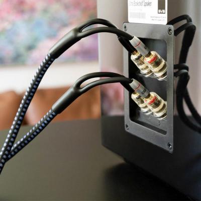 SVSound SoundPath 10 Feet Ultra Bi-Wire Speaker Cable - SVS-SP-BIWIRE-MIX10FT