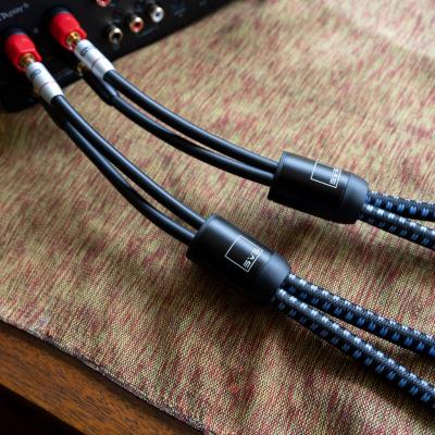 SVSound SoundPath 10 Feet Ultra Bi-Wire Speaker Cable - SVS-SP-BIWIRE-MIX10FT