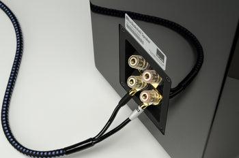 SVSound SoundPath 20 Feet Ultra Speaker Cable - SVS-SP-ULTSPKBAN20F