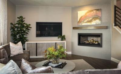 Napoleon Ascent Linear 46 Direct Vent Fireplace - BL46NTE-1